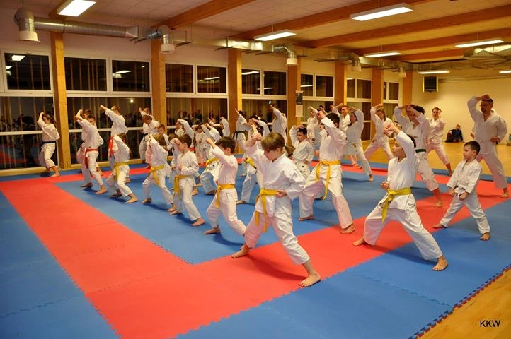 Fot. Karate Klub Wejherowo/Facebook