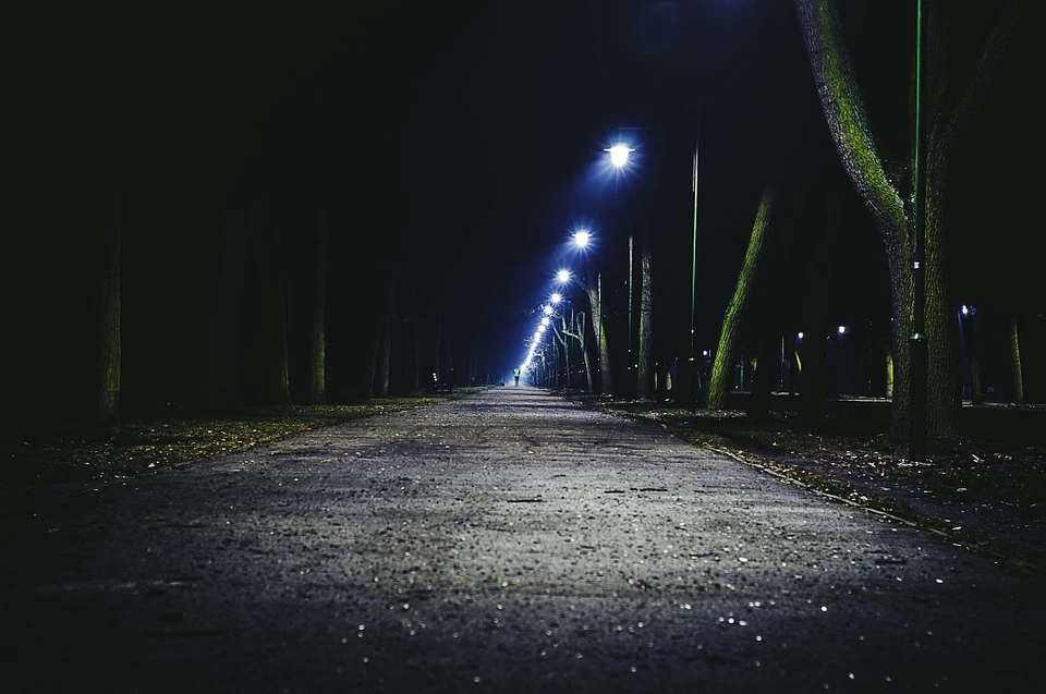 Zdjęcie ilustracyjne/ Źródło: pixabay.com