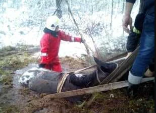 Facebook.com/Komenda Powiatowa Państwowej Straży Pożarnej w Wejherowie