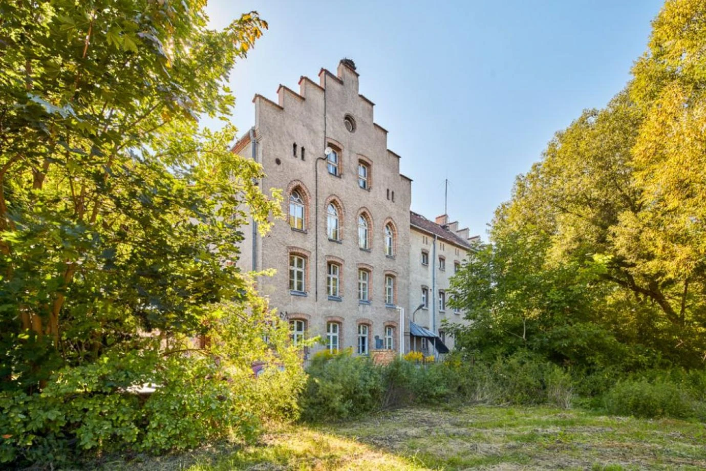 Materiał Partnera