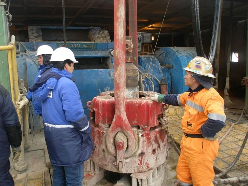 www.petrolinvest.pl