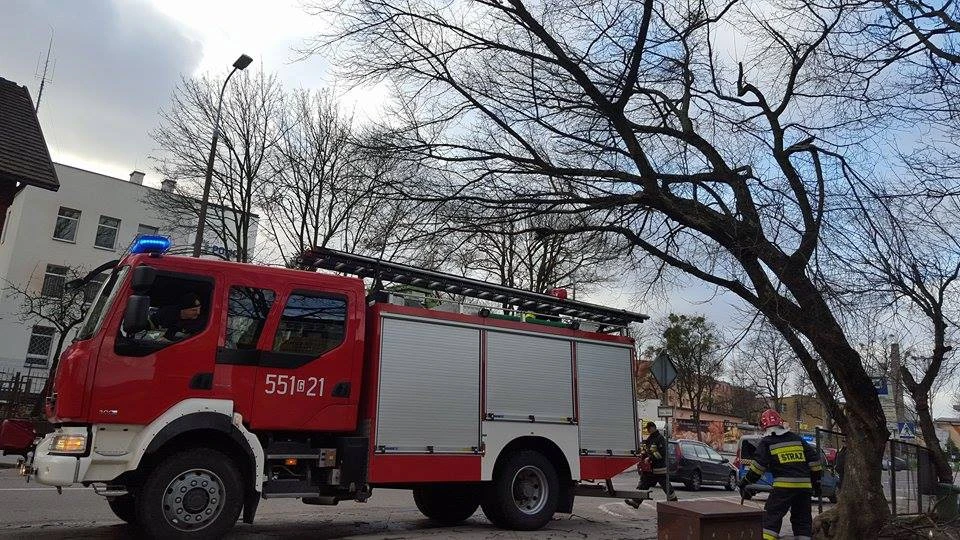 Wejherowo, straż pożarna usuwa niebezpieczne gałęzie / fot. Patrycja Białk
