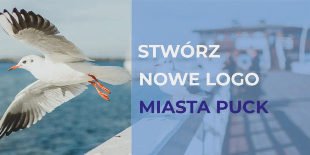 Źródło: UM Puck