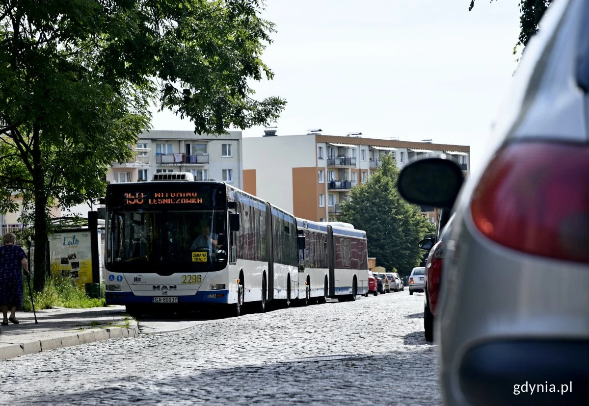 Fot. Kamil Złoch/Gdynia.pl