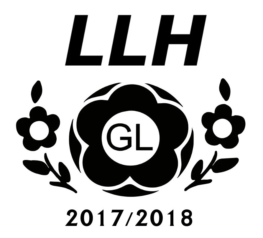 GOSRiT Luzino mistrzem Luzińskiej Ligi Halowej GL