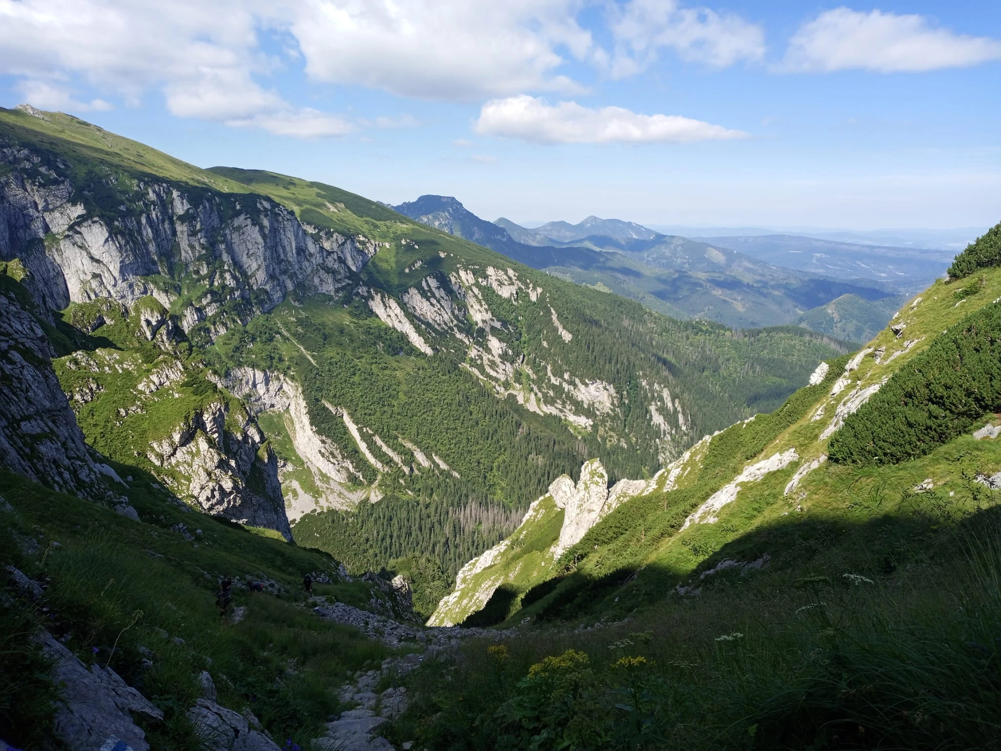 nadesłane