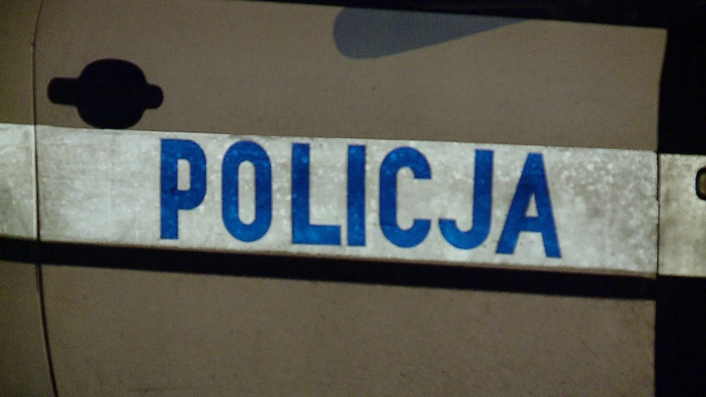 Areszt dla dwóch napastników
