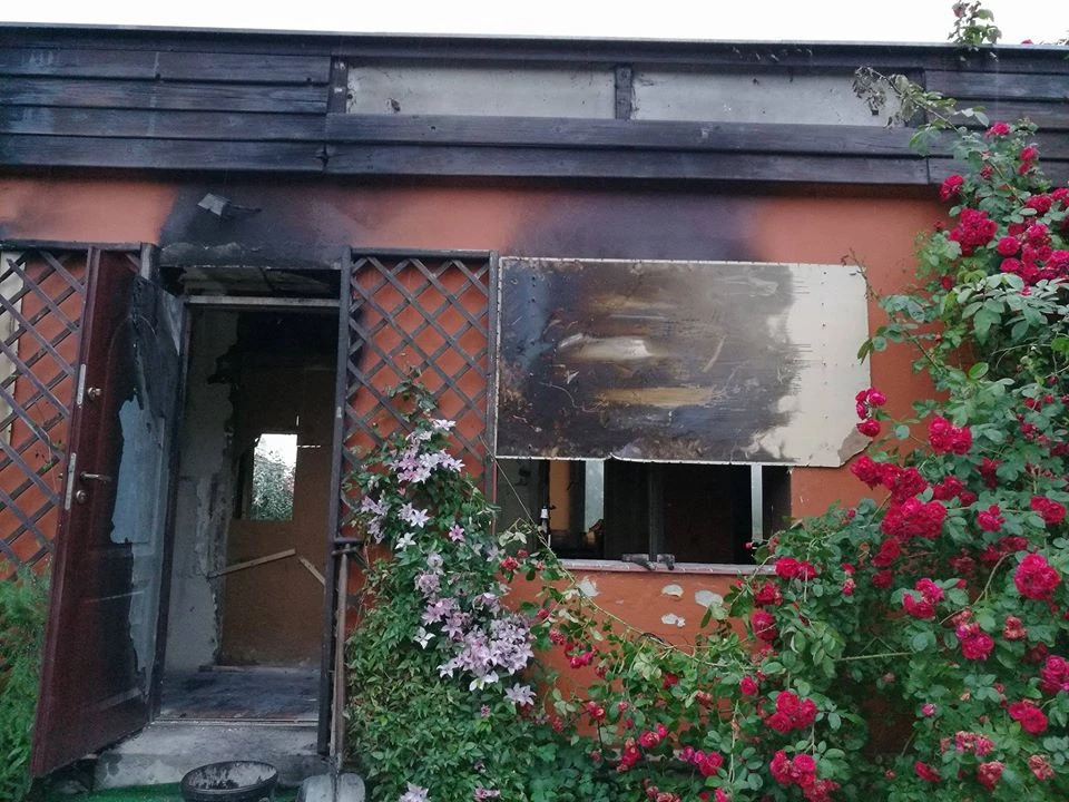 fot. facebook.com/wieszelistrzewo/