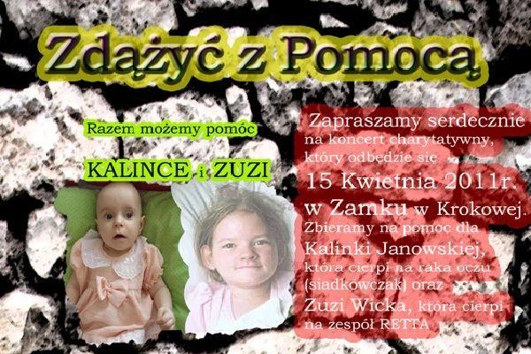 Krokowa: Ty też możesz pomóc