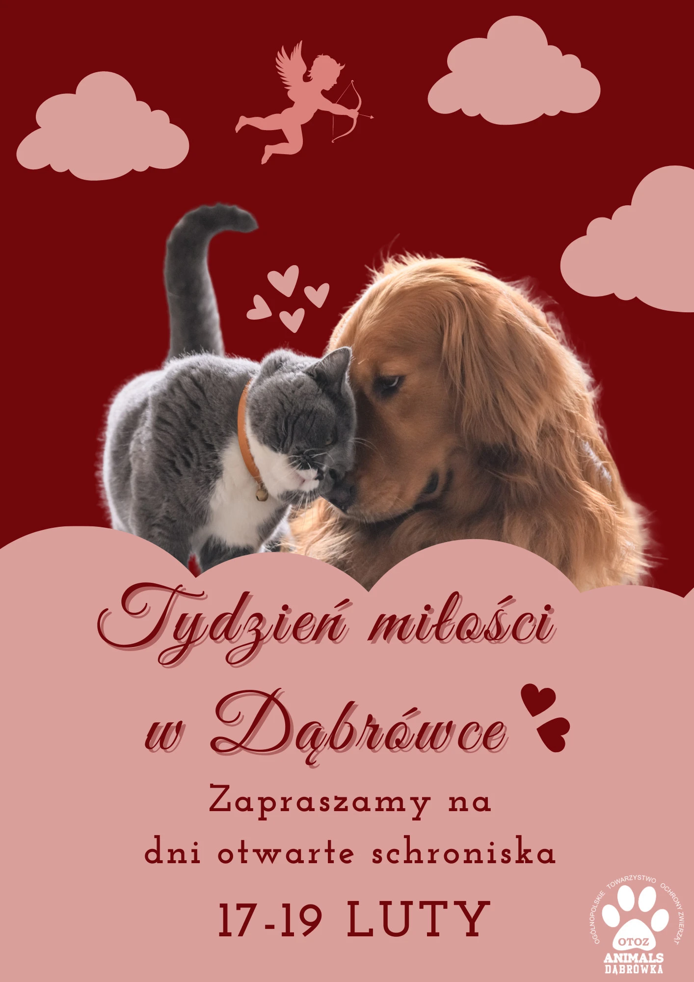 Fot. FB Schronisko Dąbrówka