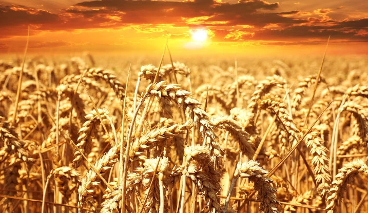 Zdjęcie poglądowe, Pixabay