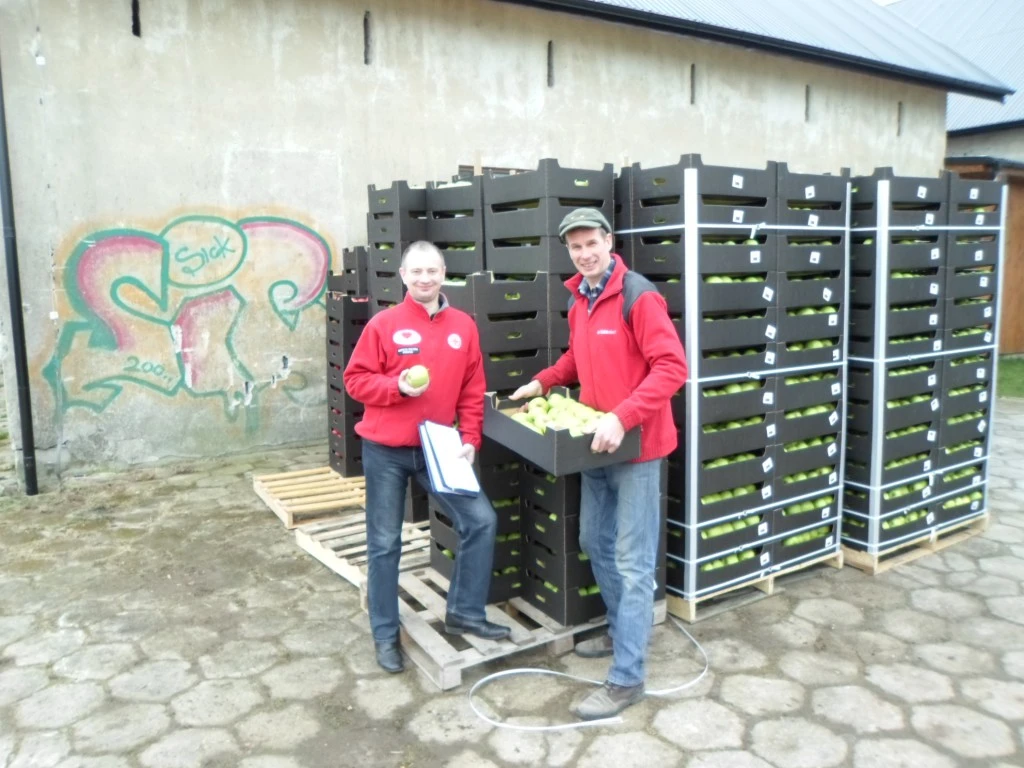 Rozdali ponad 20 ton jabłek