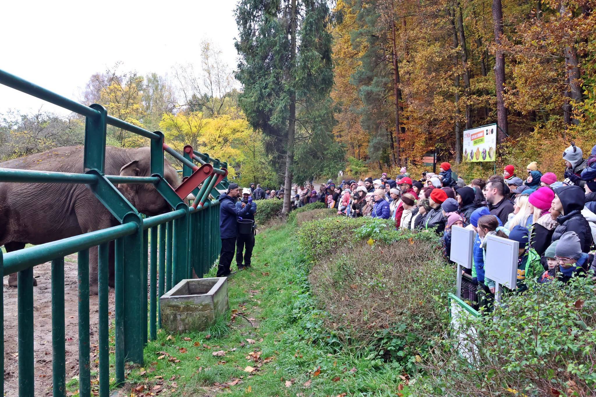 Tajemnicza kryjówka kłusownika w gdańskim zoo. Uczestnicy będą mieli tylko godzinę na uratowanie zwierząt!