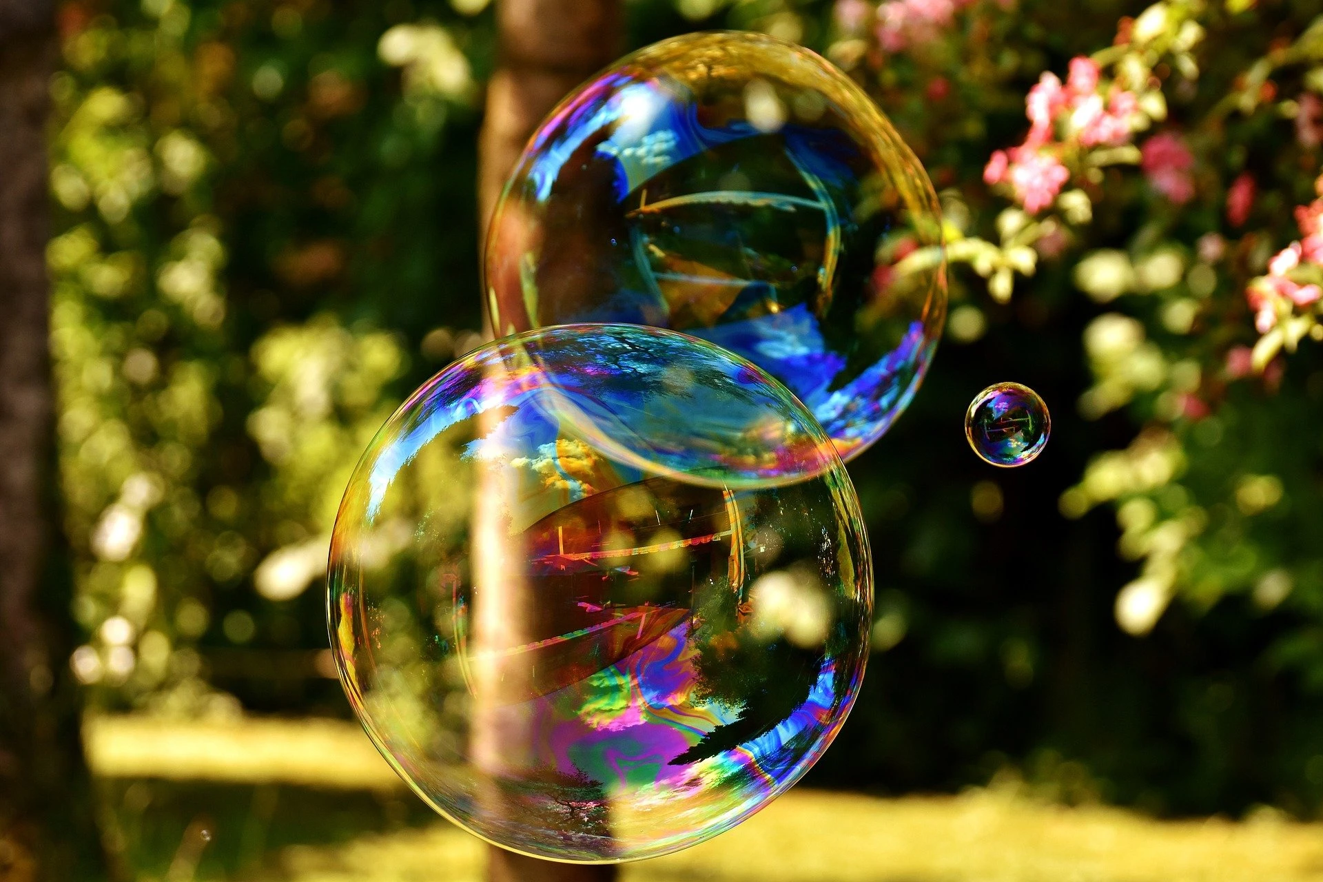 Fot. pixabay.com 