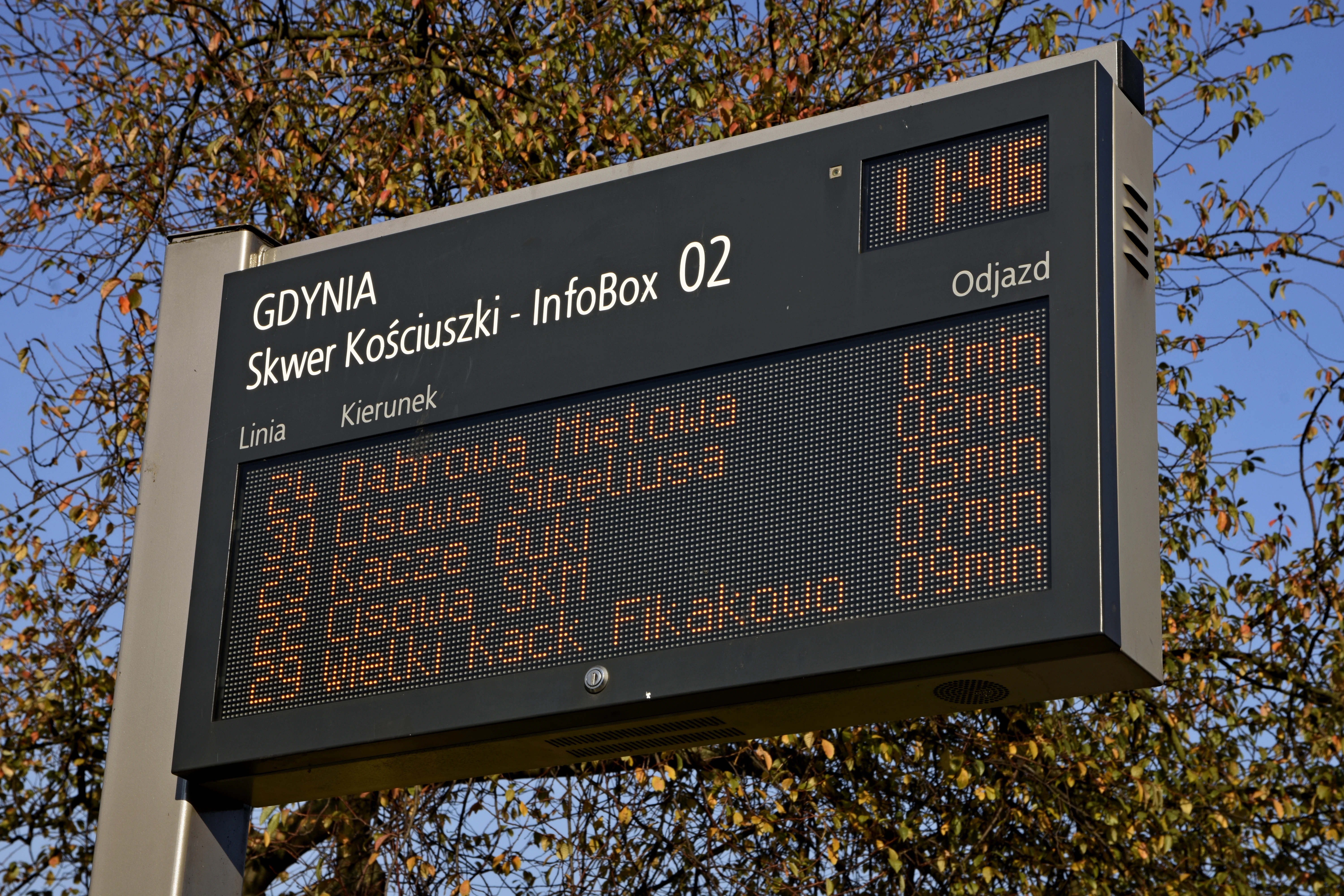 źródło: UM Gdynia