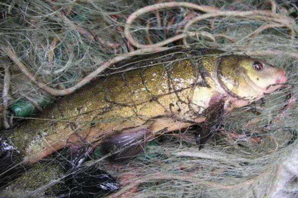 Powiat Wejherowski: Kłusował na jeziorze