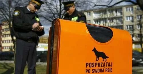 Rumia: Akcja Straży Miejskiej „Nasz Pies – III edycja”