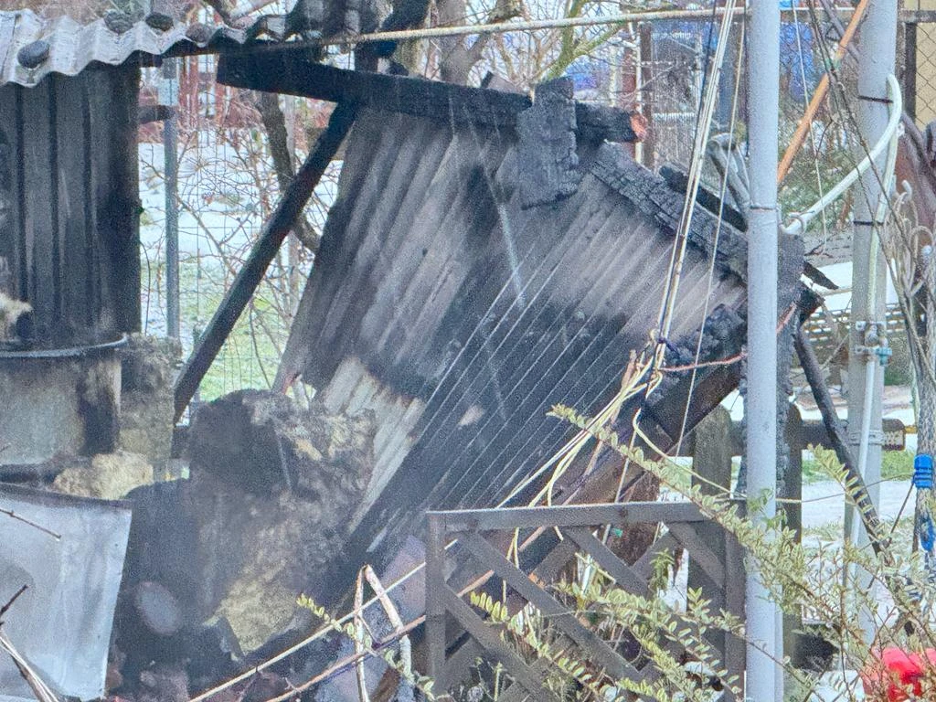 telewizjattm.pl/fot. Marek Trybański