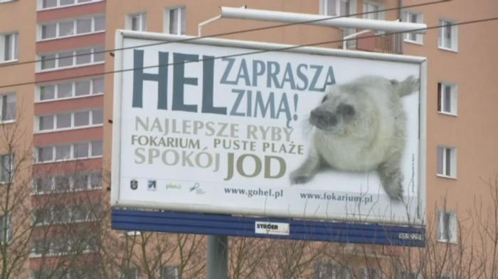 Hel zaprasza także zimą