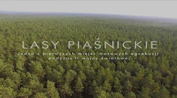 Lasy Piaśnickie z lotu ptaka