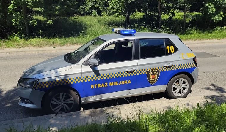 fot. Straż Miejska w Gdańsku