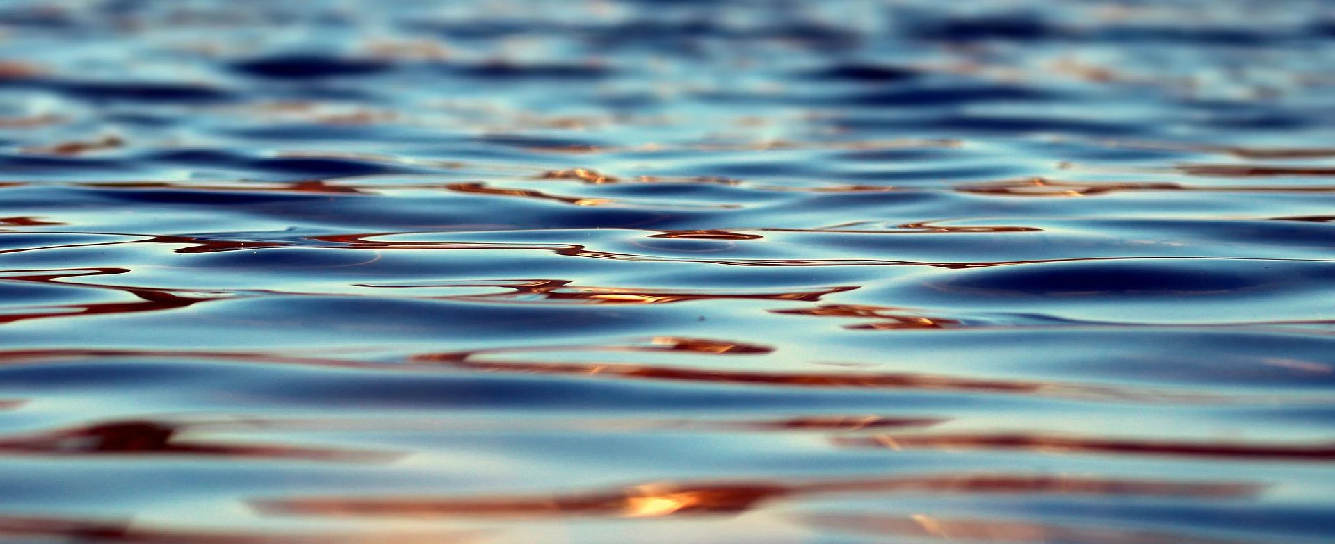 Fot. pixabay.com 
