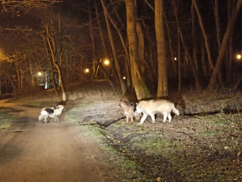 Źródło: SM Wejherowo