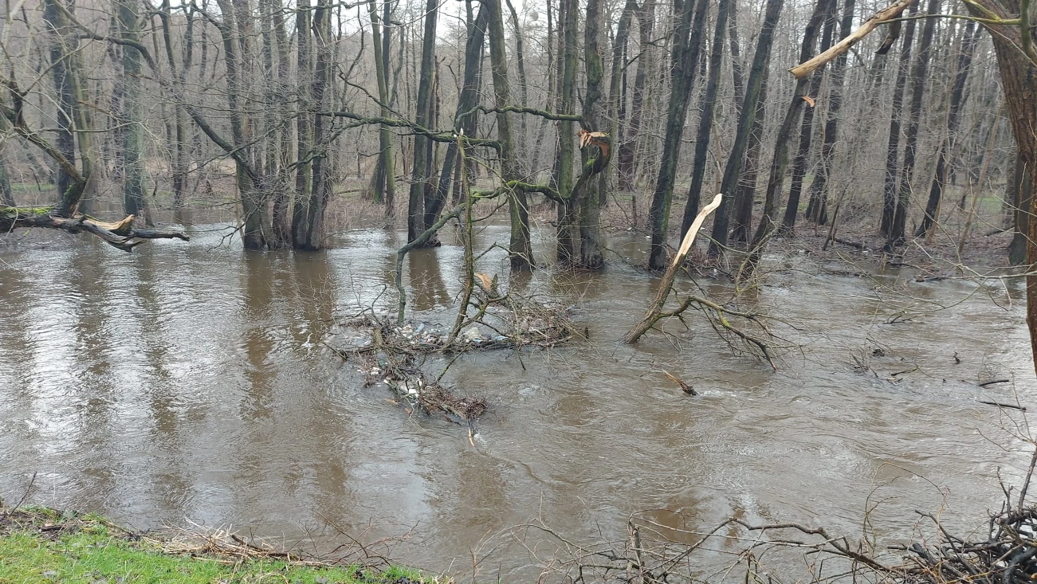 Fot. SM Wejherowo 