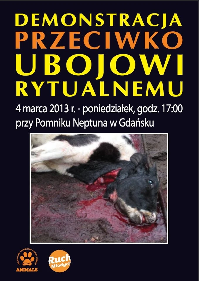 W Gdańsku pikieta przeciwko ubojowi rytualnemu