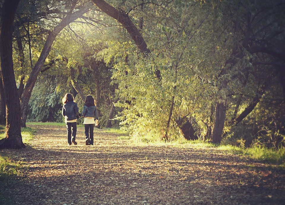 Zdjęcie ilustracyjne/ Źródło: pixabay.pl