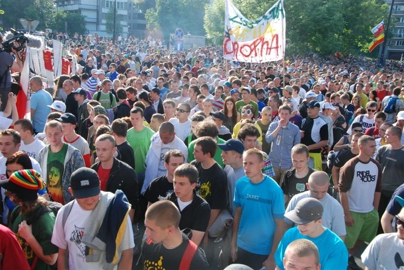 wolnekonopie.pl