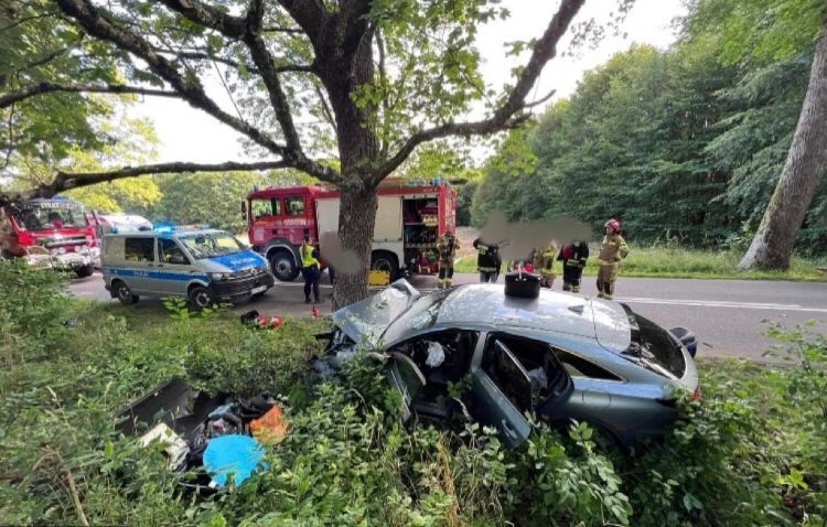 Fot. Czytelnik N24