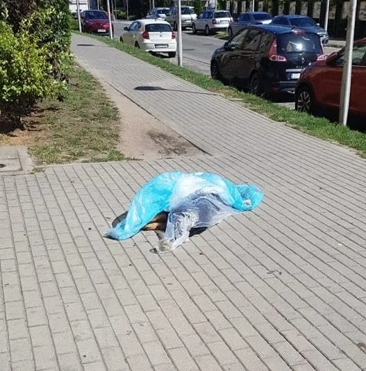Fot. Czytelnik Nadmorski24