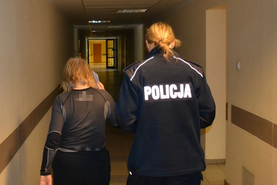 Źródło: pomorska.policja.gov.pl