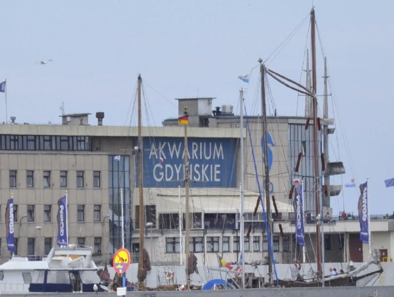Ekologiczna wycieczka po Gdyni