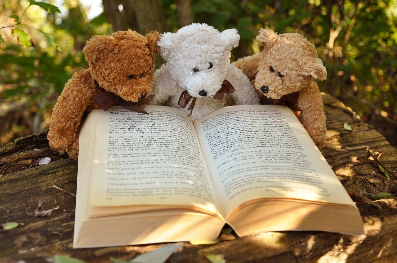 Zdjęcie ilustracyjne, źródło: pixabay.com