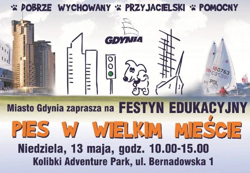 „Pies w wielkim mieście” w Gdyni
