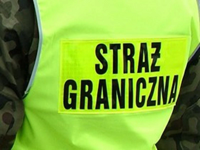 Ukarani za wyłudzenie wiz