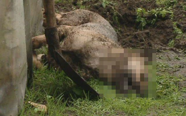 Wejherowo: Chciał ulżyć w cierpieniu, a zadał katusze