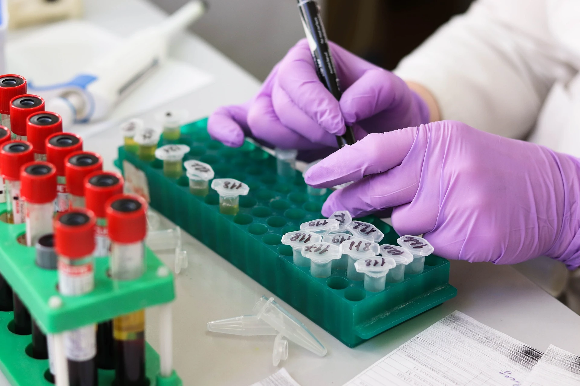 laboratory-3827745_1920.jpg