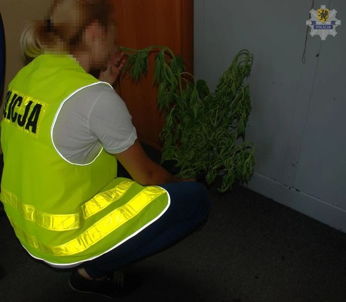 KPP Wejherowo
