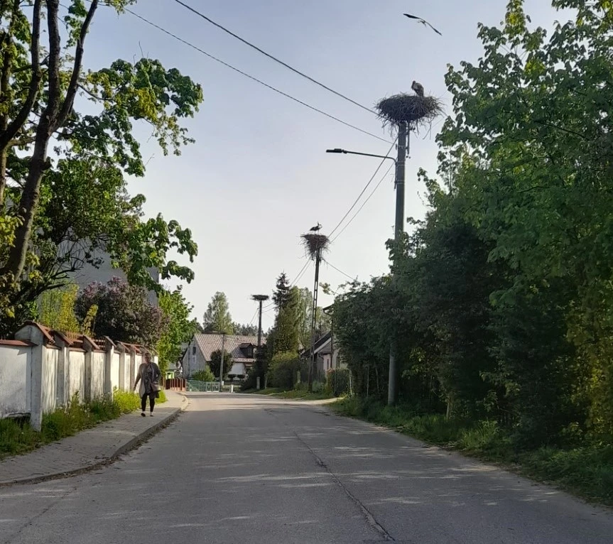 fot. Aleksandra Wołodin