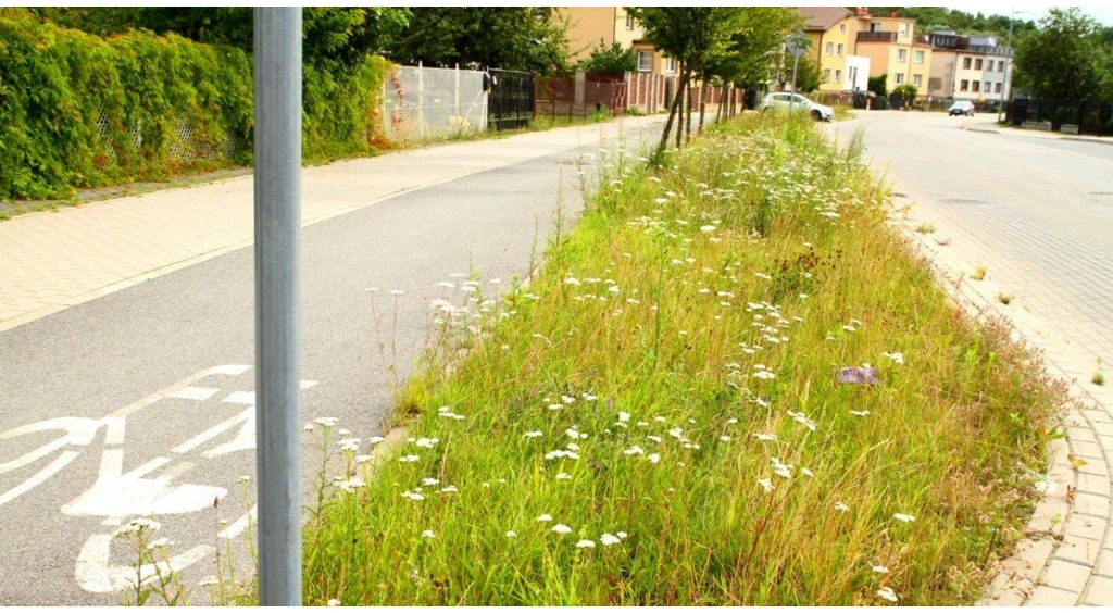 Fot. UM Wejherowo