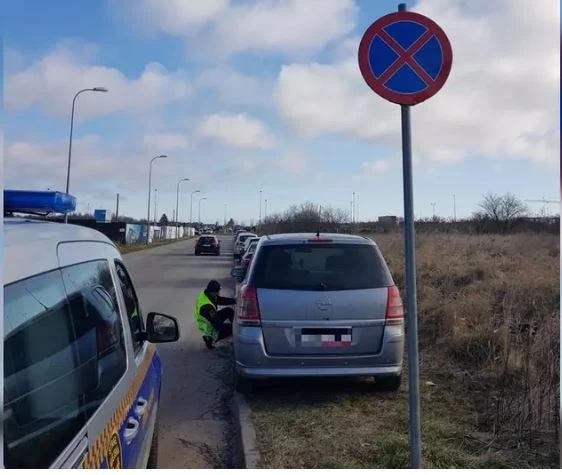 fot. Straż Miejska w Gdańsku 
