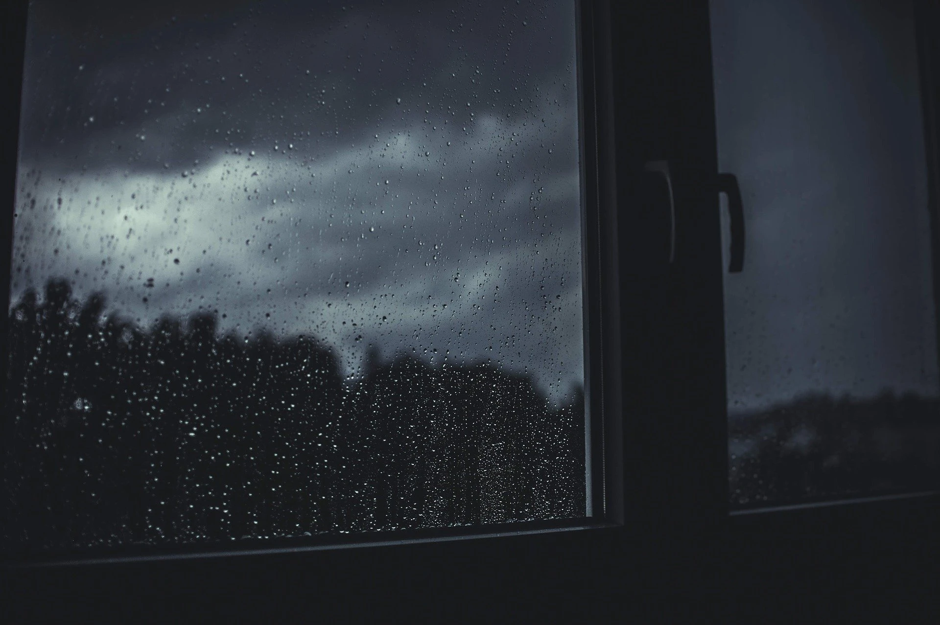 Źródło:pixabay.com