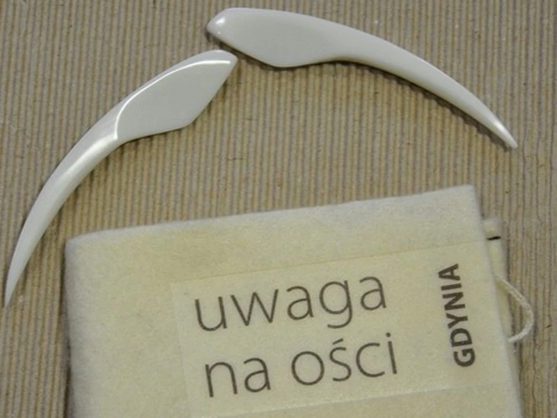 Pamiątka z Gdyni. Ości dla gości