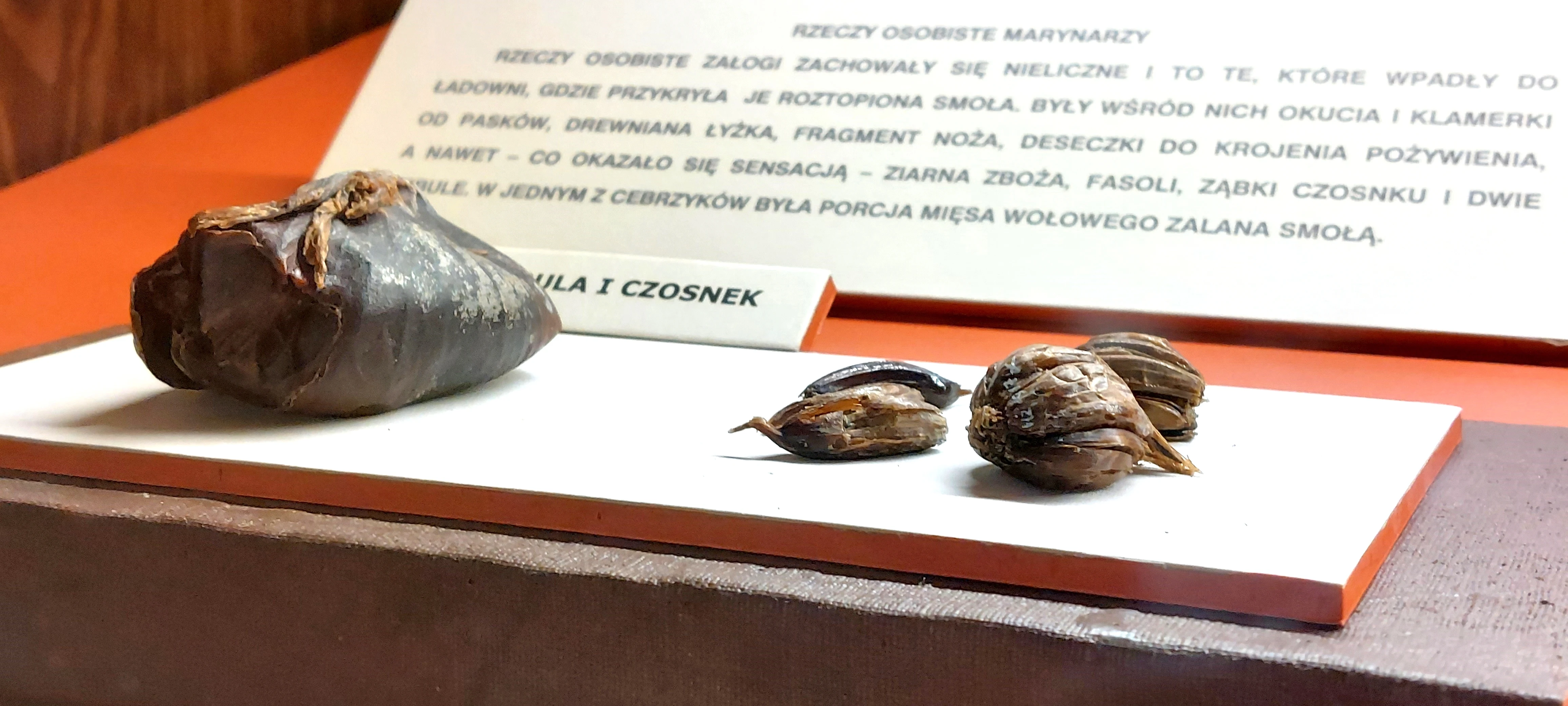 Fot. Narodowe Muzeum Morskie w Gdańsku|https://nmm.pl/