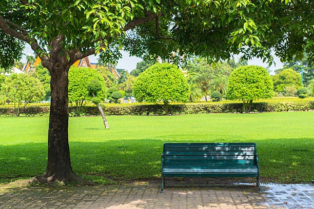 fot. pixabay.com