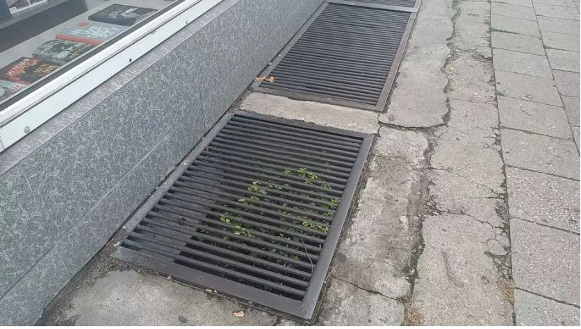 Fot. SM Gdańsk