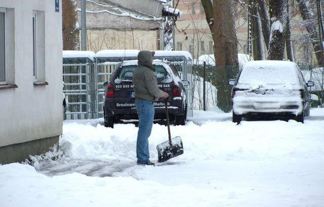 Zimowy popyt na łopaty